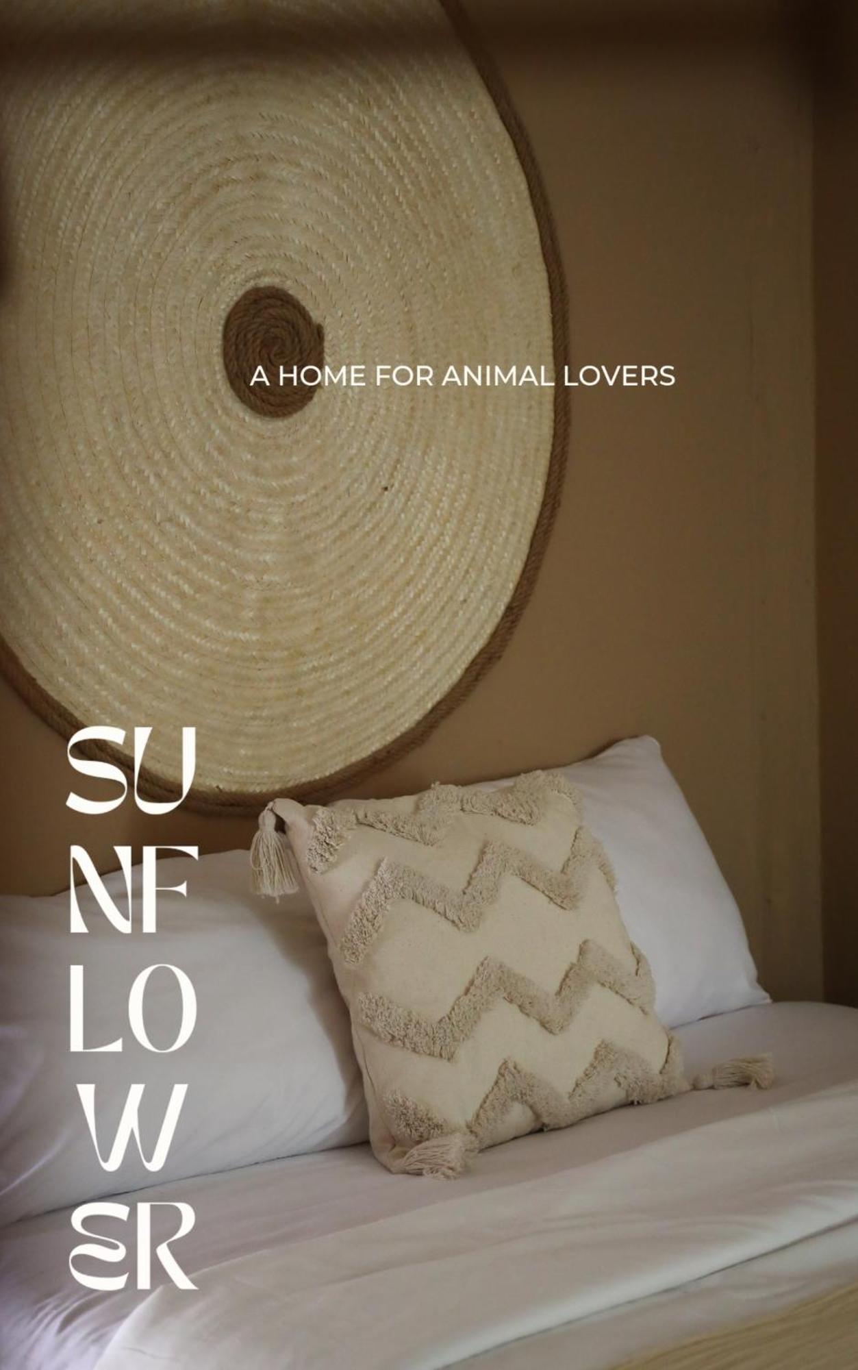 Sunflower Guesthouse And Animal Rescue - Koh Lipe Værelse billede