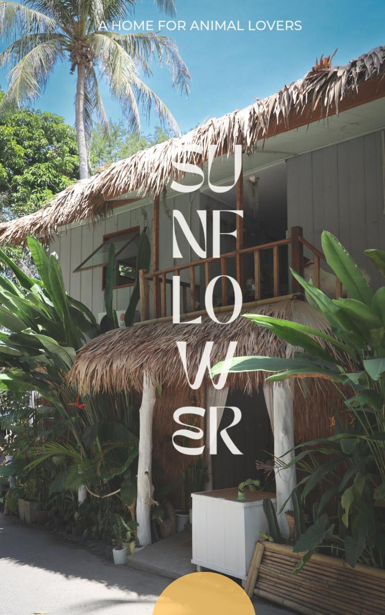 Sunflower Guesthouse And Animal Rescue - Koh Lipe Eksteriør billede