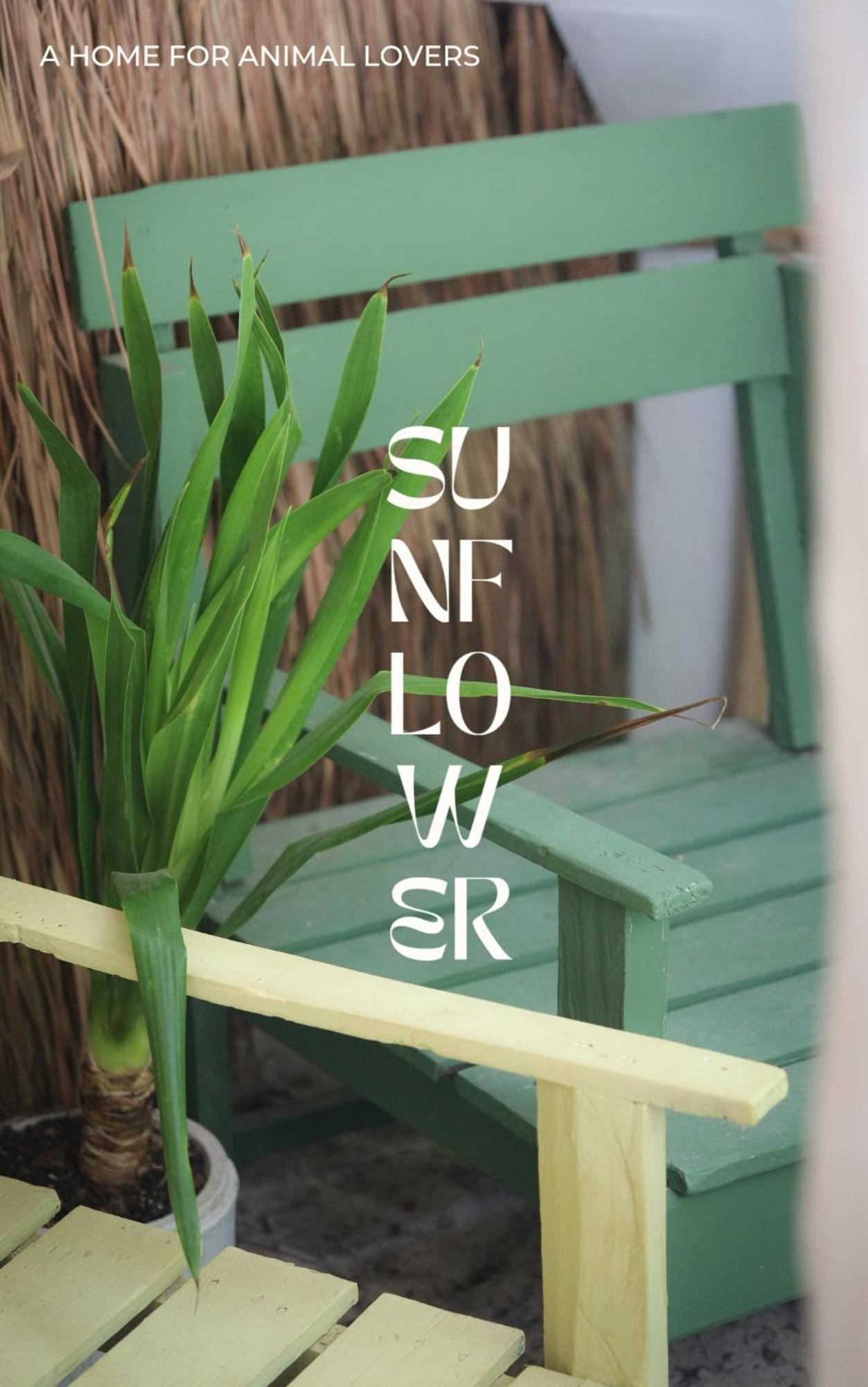 Sunflower Guesthouse And Animal Rescue - Koh Lipe Eksteriør billede